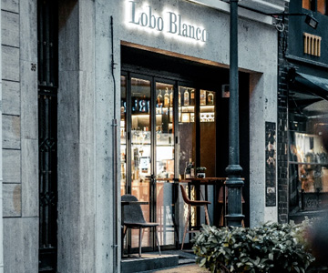 EL LOBO BLANCO